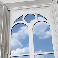 1652324091060 Stcecilia Extangl