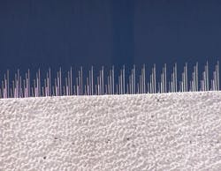 Nixalitebirdspikes Nixalitebirdspikes