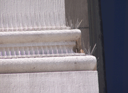 1652324289964 Nixalitepremiumbirdspikes