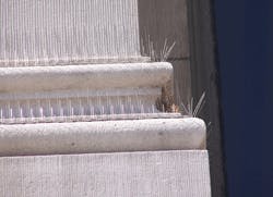 NixalitepremiumBirdspikes NixalitepremiumBirdspikes