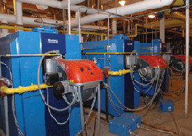 1652324604412 Andrews