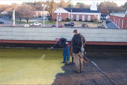 1652324651553 Rm 300 1652324651553 Rm 300