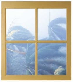 1652324996220 Stormandwindow 1652324996220 Stormandwindow