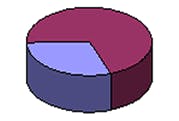 chart1 chart1