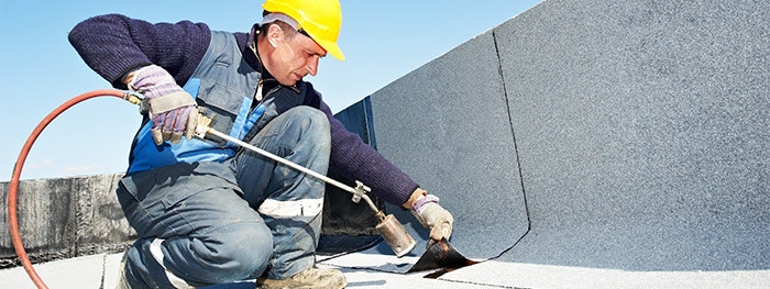 1652326759203 Shutterstock 101809735