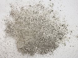 1652326911093 Mold 1652326911093 Mold