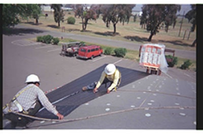 1652327021958 Travis2