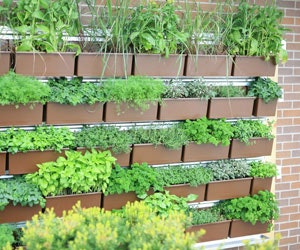 B_0712_Products_LiveWall