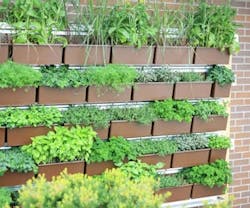 1652331122135 B 0712 Products Livewall 1652331122135 B 0712 Products Livewall