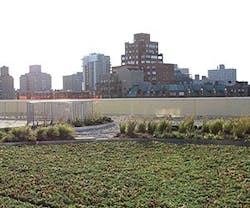 1652331401014 B Gf 92612 Mgv Modular Roof Garden Carlisle 1652331401014 B Gf 92612 Mgv Modular Roof Garden Carlisle