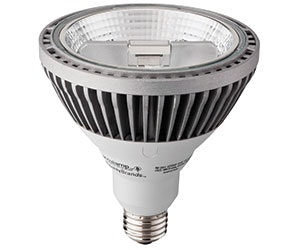 1652331918710 B 0813 Products Acculamp