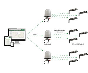 1652331968438 Leafnut915 300x250