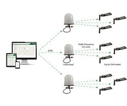 1652331968438 Leafnut915 300x250 1652331968438 Leafnut915 300x250