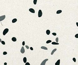 1652332732575 B 0814 Products Architecturalsystems 1652332732575 B 0814 Products Architecturalsystems