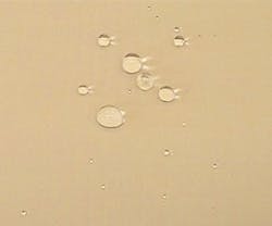 1652332971236 B 1114 Products Basf 1652332971236 B 1114 Products Basf