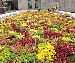 B_1114_Products_Firestone2