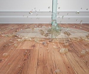 1652333117808 B 1214 Products Silverwood