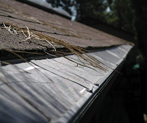 1652333233189 B 0415 Products Gutterglove