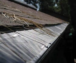 1652333233189 B 0415 Products Gutterglove 1652333233189 B 0415 Products Gutterglove