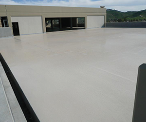 B_0415_Products_Pecora