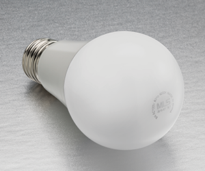 1652333604159 B 0915 Forestlighting