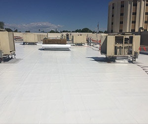 1652369034385 Tremco Roofing Alphaguard Puma 2