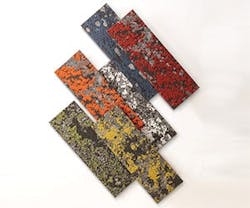 1652369291587 Mohawkgrouplichen 1652369291587 Mohawkgrouplichen