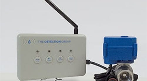 TheDetectionGroup