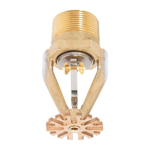 1652370798793 Esfr34