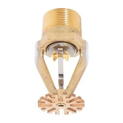 1652370798793 Esfr34 1652370798793 Esfr34