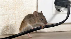 Pests_hero_1000