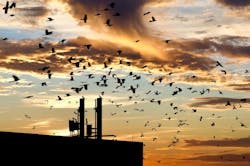 1653609684327 Birdsbuildings Hero 1000 1653609684327 Birdsbuildings Hero 1000