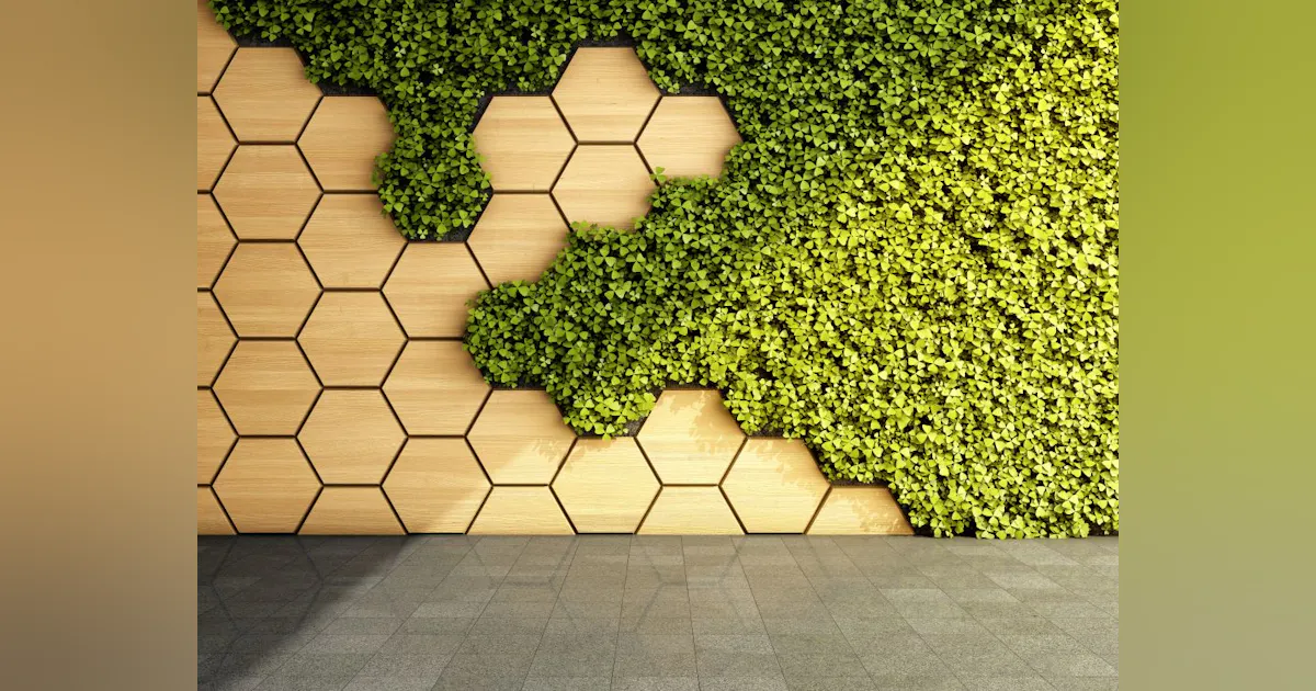 Biomimicry: Taking Cues from Nature to Create More Sustainable Products ...