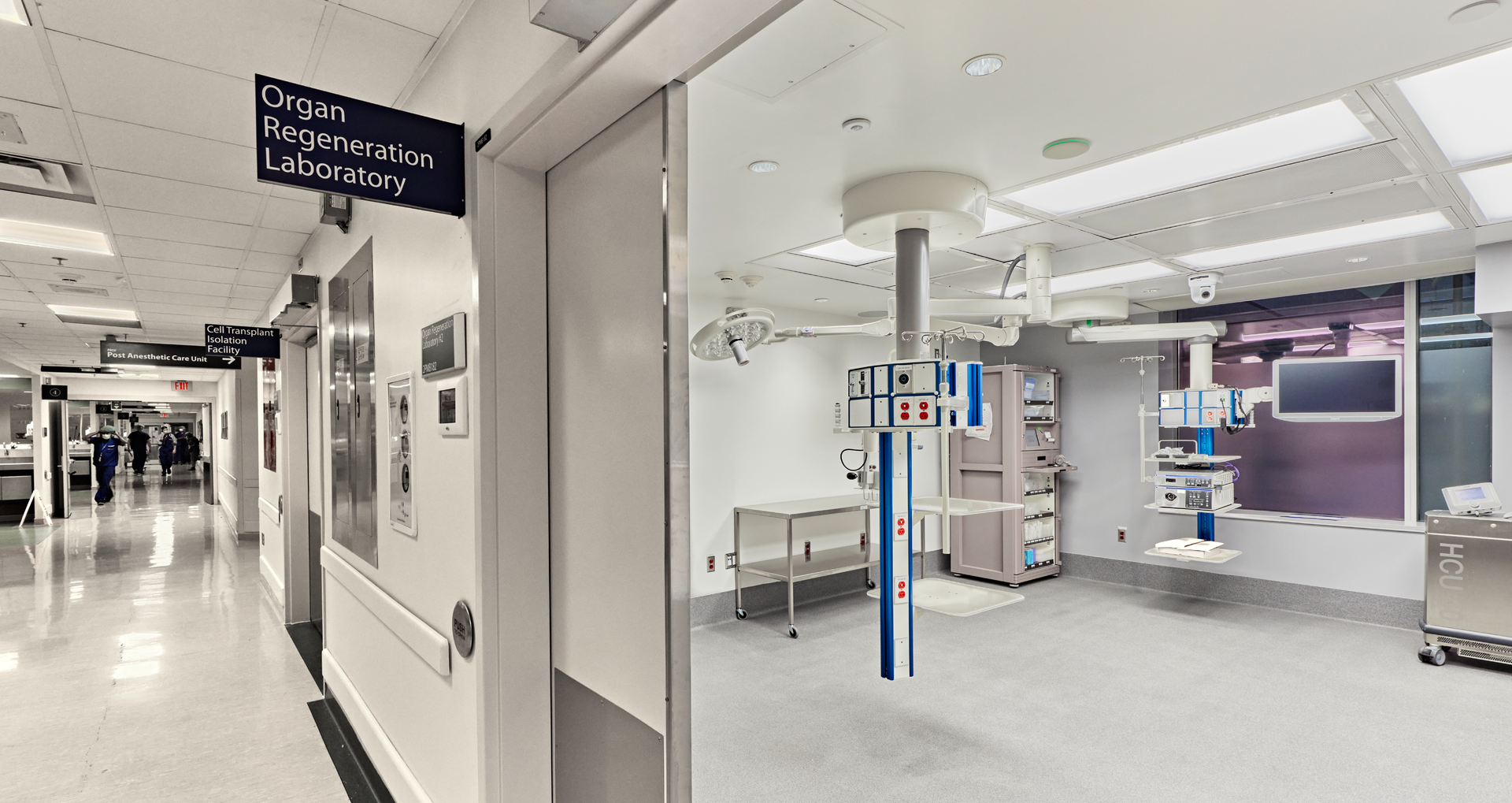 The Organ Regeneration Laboratory was previously housed in an existing operating room at Toronto General Hospital. Now it has its own dedicated lab space.
