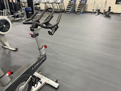 Ecore Moxie Beast 64065dd70584e Ecore Moxie Beast 64065dd70584e