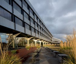 The site is located adjacent to a beautiful wetland which the campus had turned away from and had previously contained a parking lot and an access road. The site is located adjacent to a beautiful wetland which the campus had turned away from and had previously contained a parking lot and an access road.