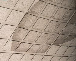 When absorbent ceiling materials are exposed to water, whether from floods, rain leaks, or fire-fighting water-sprays, they can sag significantly and can host colonies of mold and bacteria, often described as “water stains.” When absorbent ceiling materials are exposed to water, whether from floods, rain leaks, or fire-fighting water-sprays, they can sag significantly and can host colonies of mold and bacteria, often described as “water stains.”