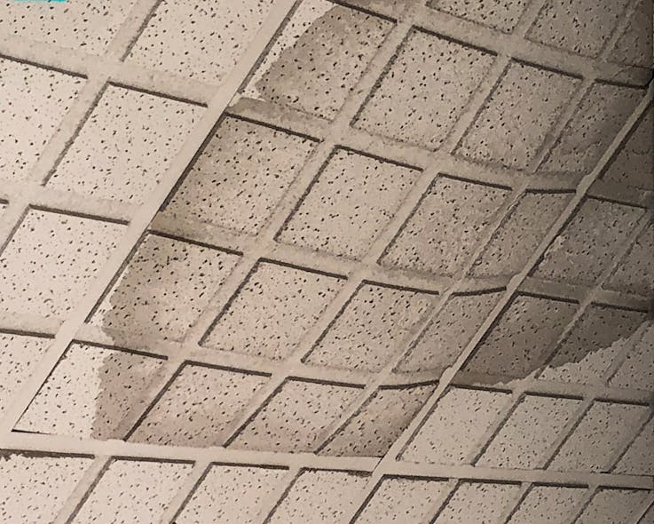 When absorbent ceiling materials are exposed to water, whether from floods, rain leaks, or fire-fighting water-sprays, they can sag significantly and can host colonies of mold and bacteria, often described as &ldquo;water stains.&rdquo;