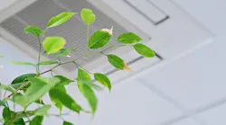 Indoor air quality is a hot topic at the office. Honeywell’s 2023 Healthy Buildings Survey revealed some surprising truths about people’s attitudes toward IAQ.