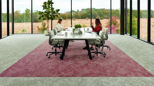 Shaw Contract New Path Carbon Neutral Carpet