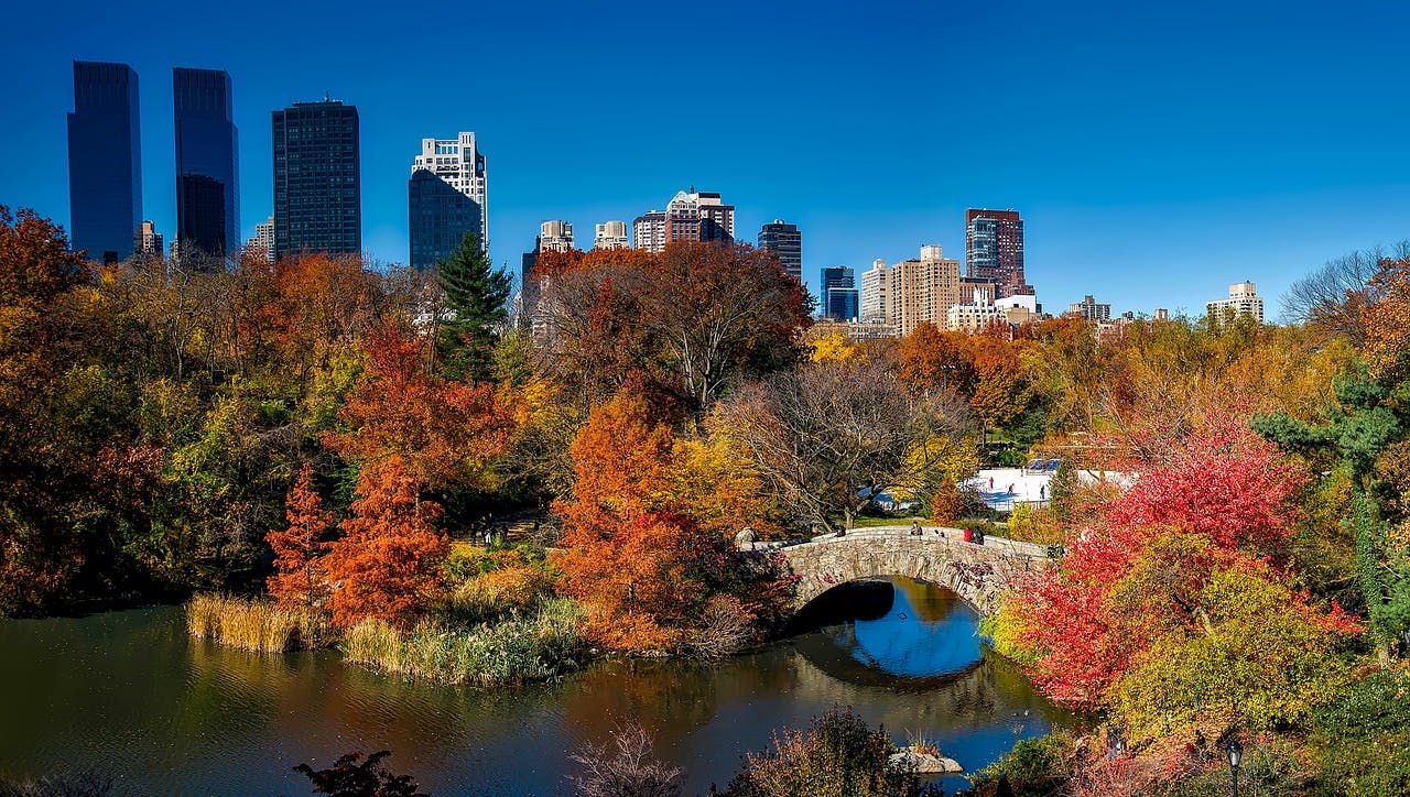 New York City's Central Park in Autumn.