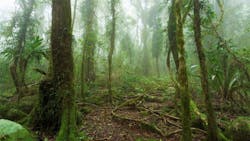 65a6964d05ac47001d903fa1 Cisco Climate Crisis 65a6964d05ac47001d903fa1 Cisco Climate Crisis