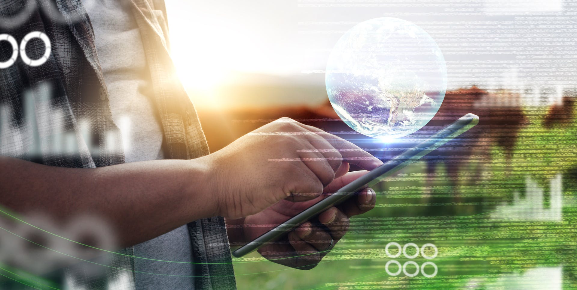 65a6986005ac47001d904115 Dreamstime M 264482722