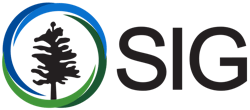 Sbt Sig Color Logo