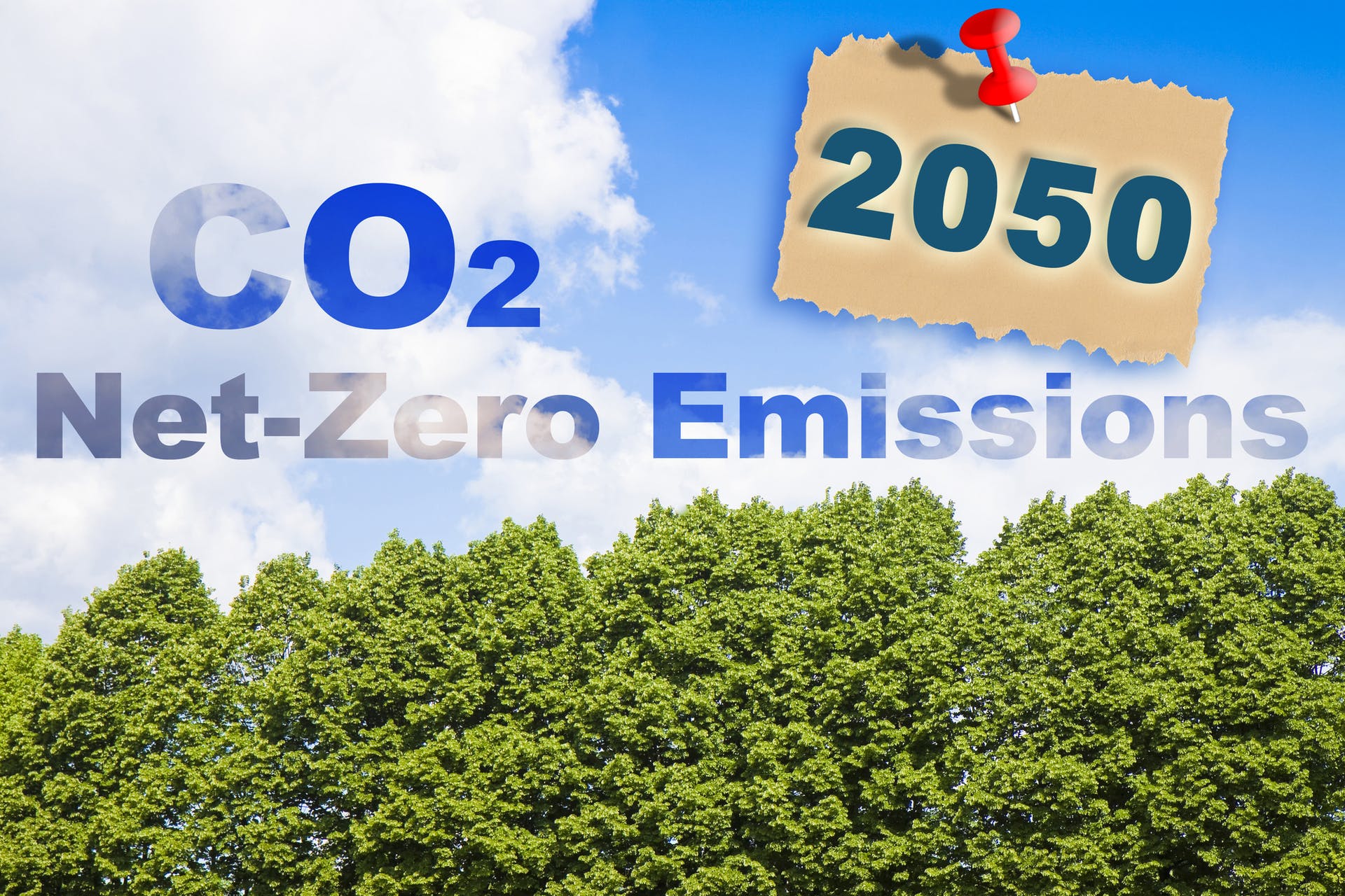 65a69b4ba8ffc7001e3a119a Dreamstime M 227585159