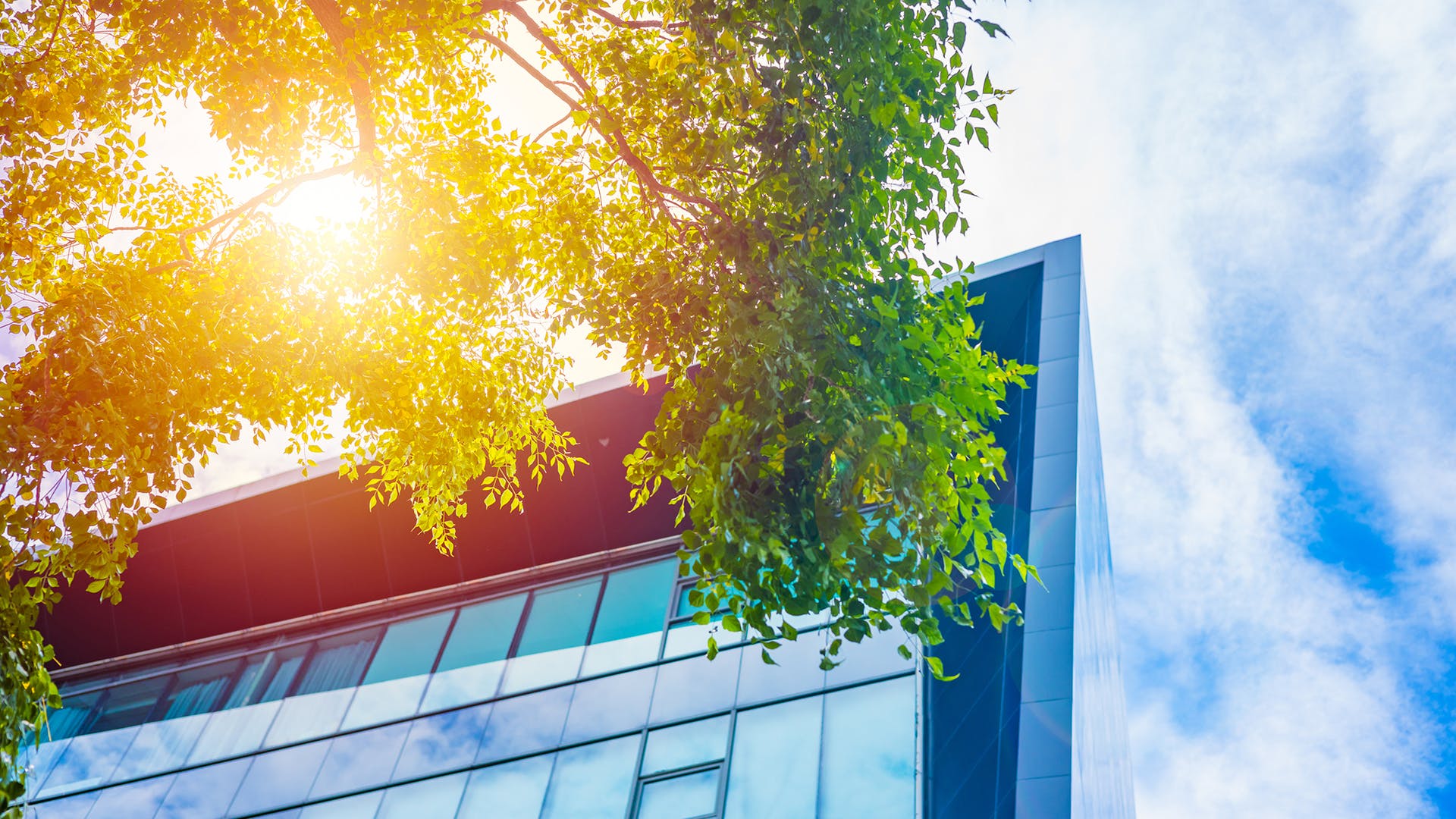 65a69b63a8ffc7001e3a11b6 Ecobuilding Dreamstime Xl 227188785 Copy