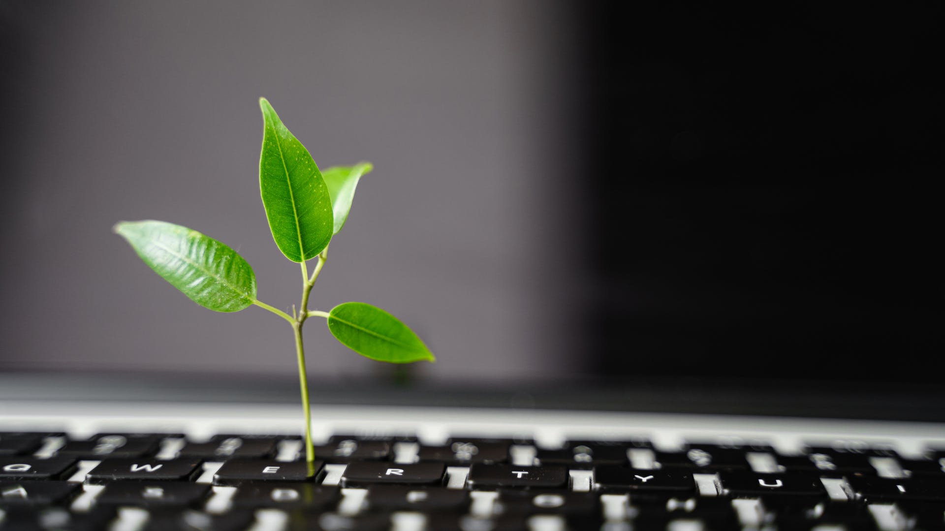 65a69b97a8ffc7001e3a11d0 Dreamstime Xl 215551279 Hero