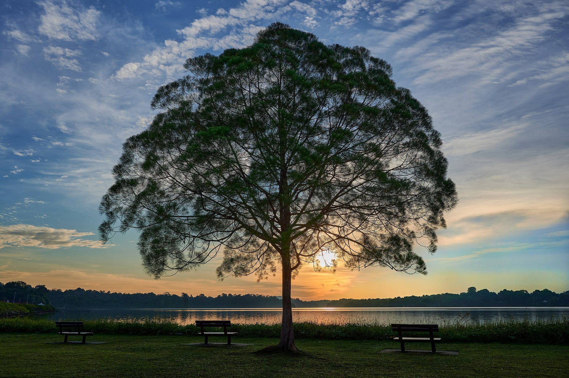 65a69bc7173b29001edf2c8b Johnson Controls 2023 Sustainability Report