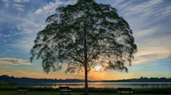 Johnson Controls 2023 Sustainability Report