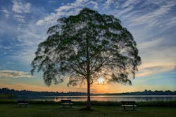 65a69bc7173b29001edf2c8b Johnson Controls 2023 Sustainability Report 65a69bc7173b29001edf2c8b Johnson Controls 2023 Sustainability Report